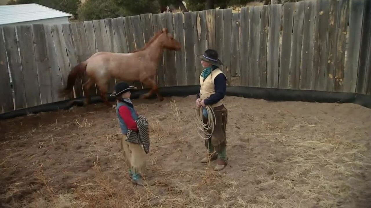 Vignette du programme télé Mountain Men