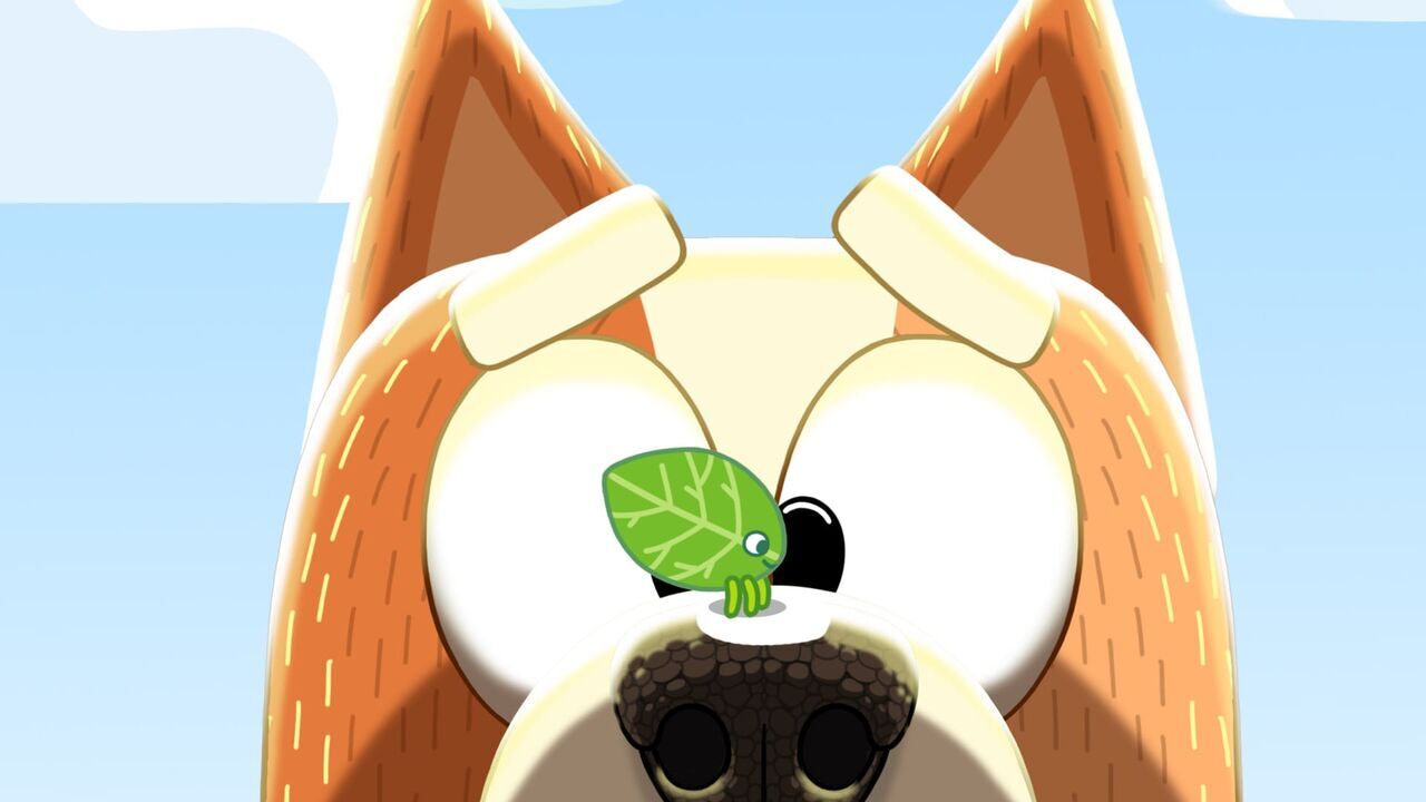 Vignette du programme télé Bluey
