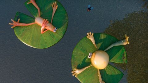 Vignette du programme télé Les as de la jungle à la rescousse