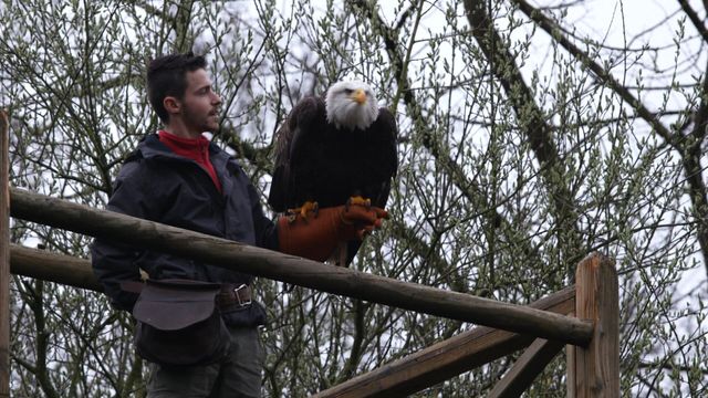Vignette du programme télé Une saison au zoo