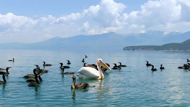 Vignette du programme télé La beaute sauvage des Balkans