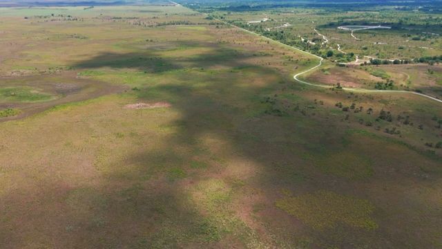 Vignette du programme télé Destination nature : la Floride