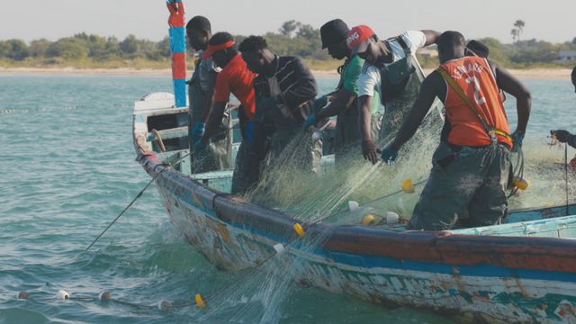 Vignette du programme télé Razzia sur l Atlantique