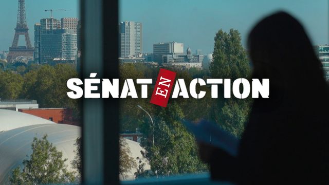 Vignette du programme télé Senat en action