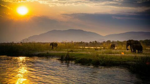 Vignette du programme télé Le Zambèze, fleuve sauvage d'Afrique