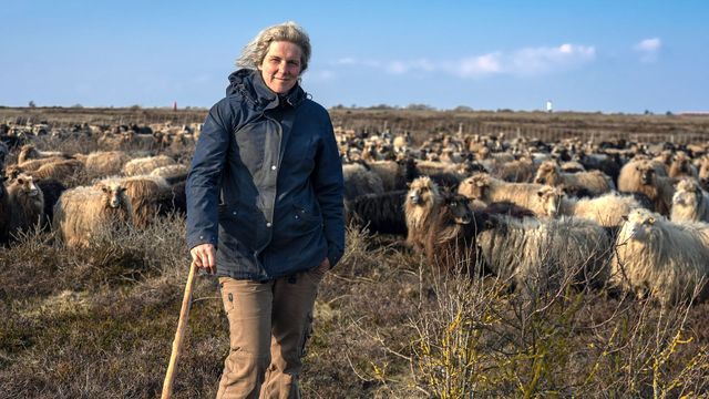 Vignette du programme télé L ile de Sylt : La reine de la mer du Nord