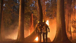 Vignette du programme télé Fire Country (Au Cal Fire) S1 (1/22)