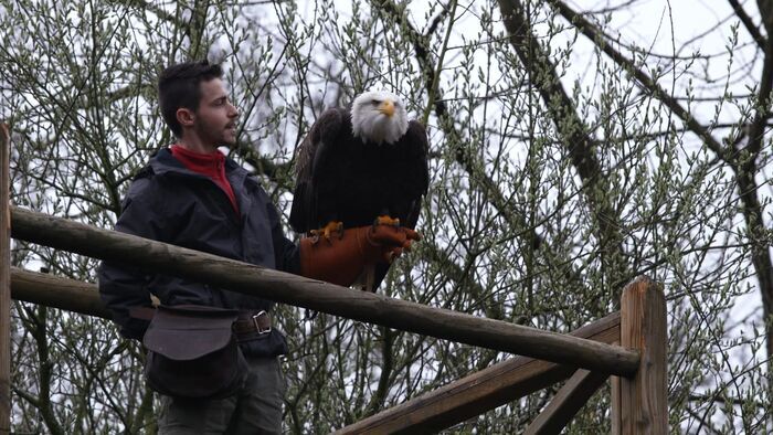 Vignette du programme télé Une saison au zoo