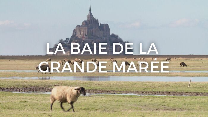 Vignette du programme télé La baie de la grande marée