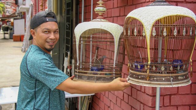 Vignette du programme télé Singapour, quand les oiseaux chantent
