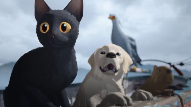 Vignette du programme télé Flow, le chat qui n&#039;avait plus peur de l&#039;eau