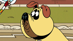 Vignette du programme télé Bienvenue chez les Casagrandes (Perro Malo) S3 (n°7)