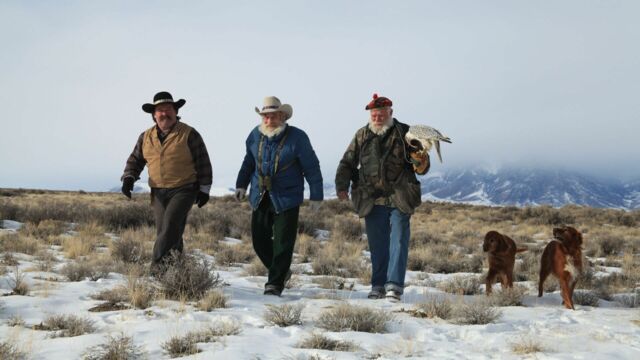 Vignette du programme télé Seuls face à l'Alaska