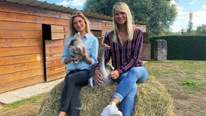 Vignette du programme télé Animaux à adopter : nouvelle famille pour une nouvelle vie S3 (3/16)