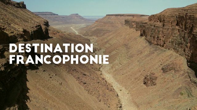 Vignette du programme télé Destination francophonie
