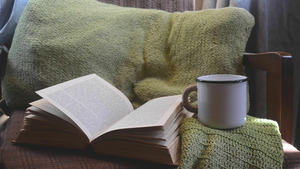 Vignette du programme télé La p'tite librairie