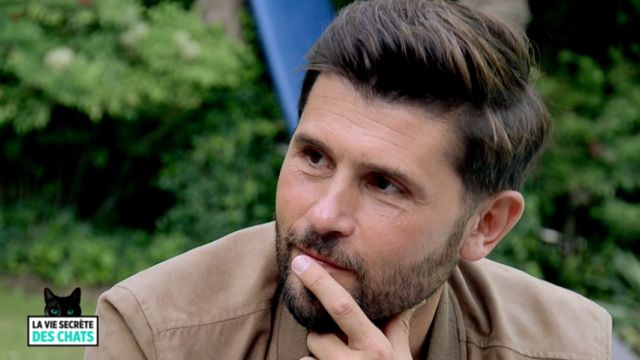 Vignette du programme télé La vie secrete des chats