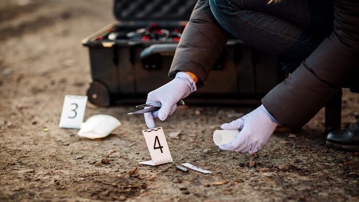 Vignette du programme télé Crimes