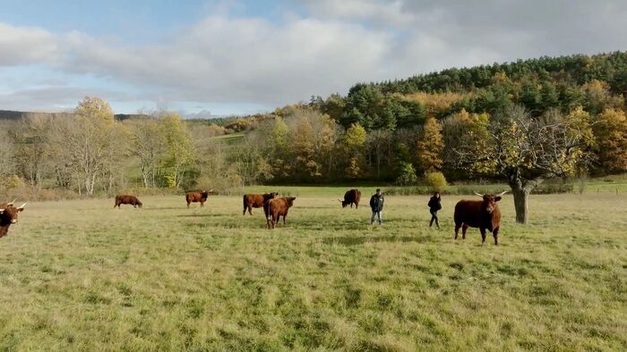 Vignette du programme télé Concours général agricole, de l'or dans nos campagnes