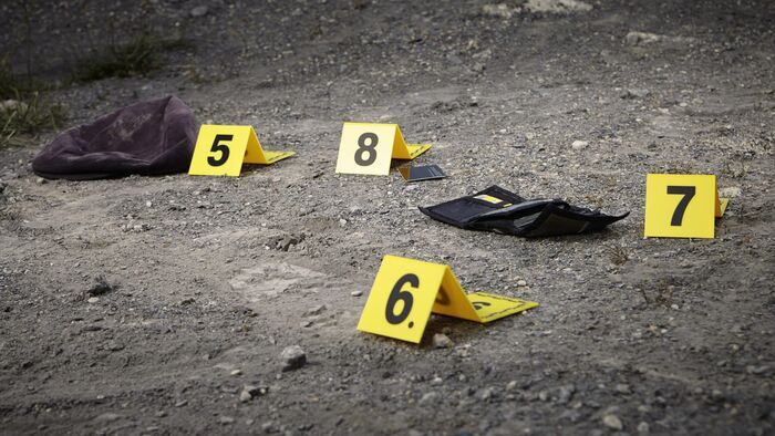 Vignette du programme télé Crimes