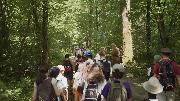 Vignette du programme télé Et si on levait les yeux ? Une classe face aux écrans