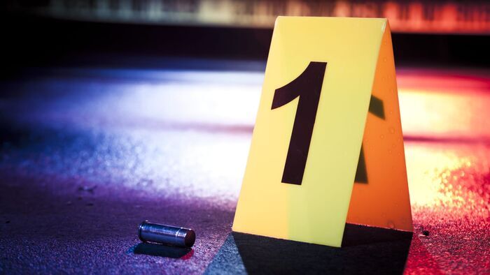 Vignette du programme télé Crimes