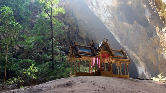 Vignette du programme télé Thaïlande sauvage
