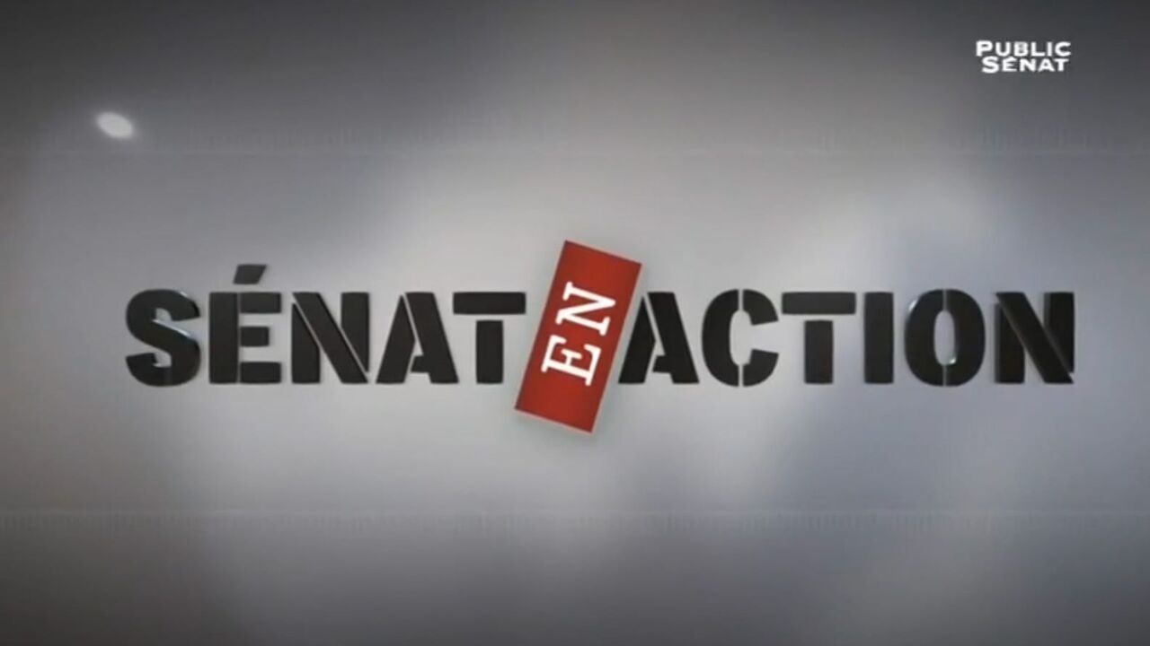 Vignette du programme télé Sénat en action