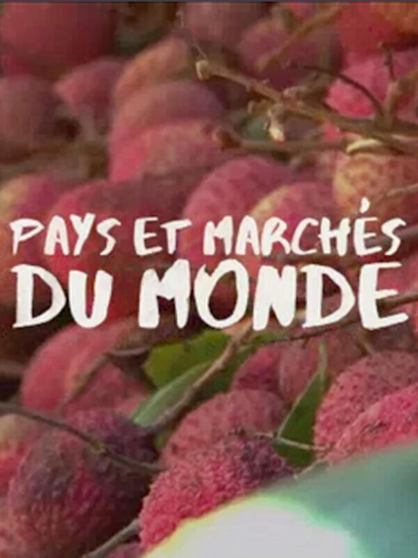 Vignette du programme télé Pays et marchés du monde