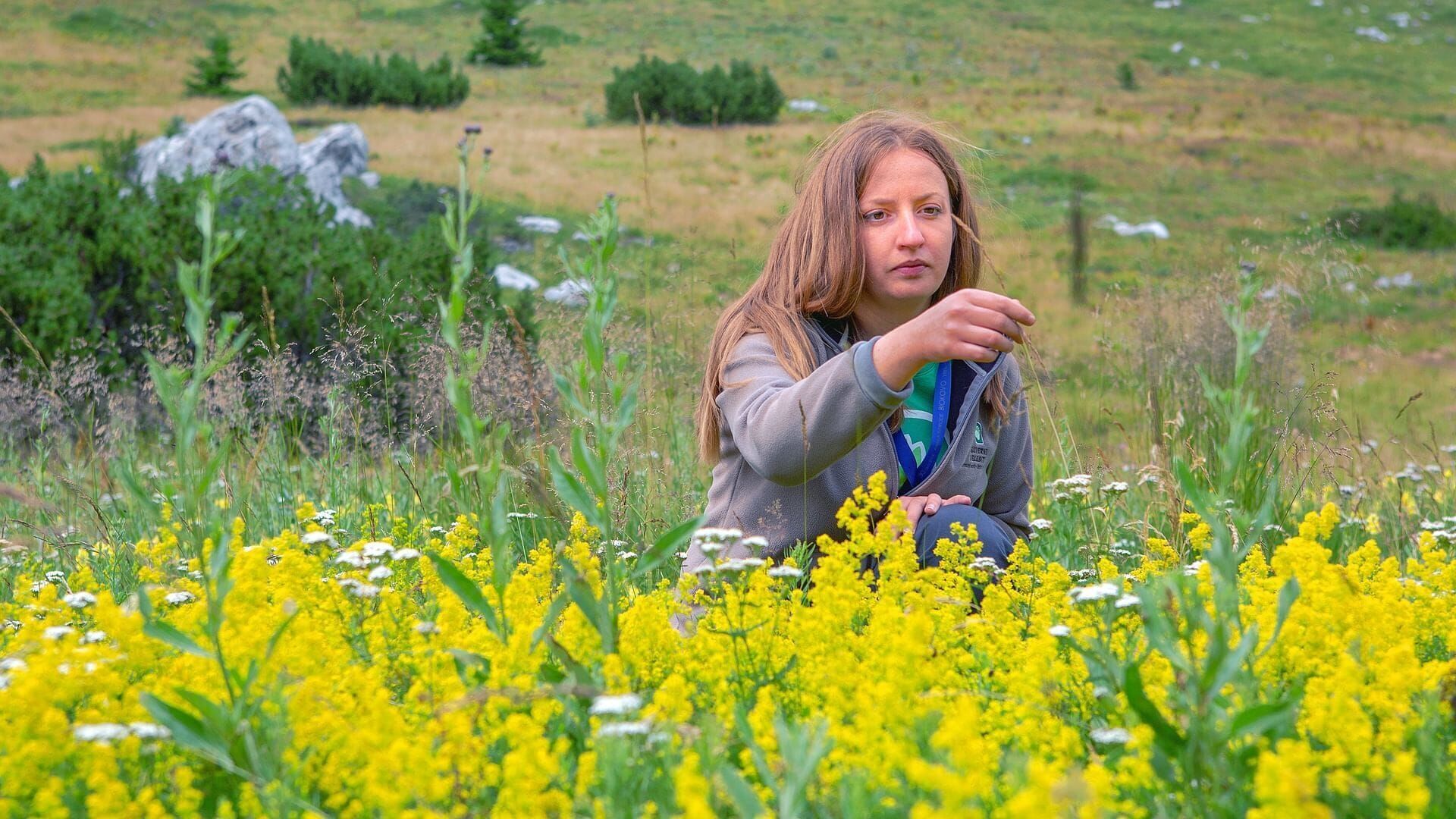 Vignette du programme télé La beauté sauvage des Balkans