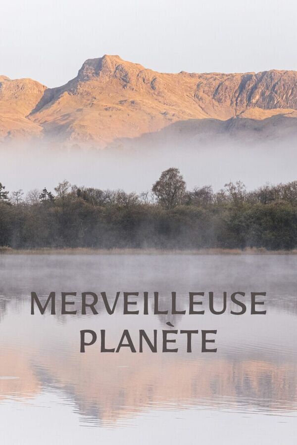 Vignette du programme télé Merveilleuse planète
