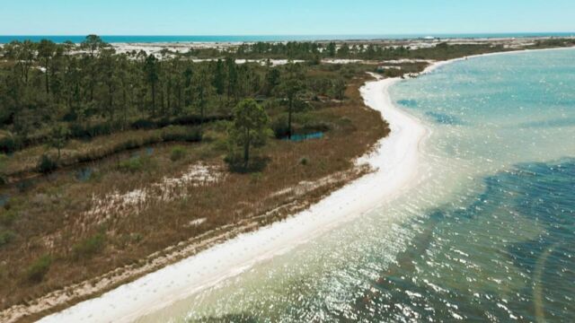 Vignette du programme télé Destination nature : la Floride