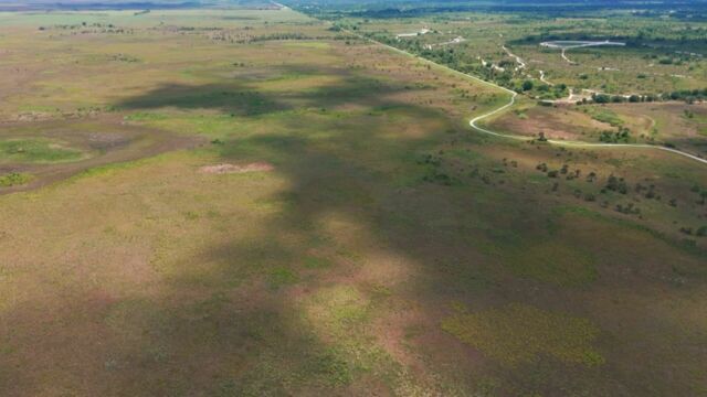 Vignette du programme télé Destination nature : la Floride