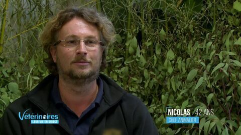 Vignette du programme télé Vétérinaires, leur vie en direct