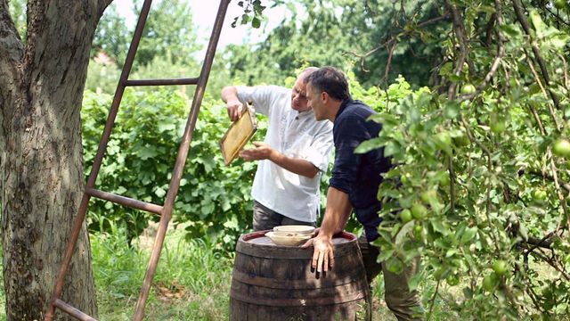 Vignette du programme télé Medecines d ailleurs