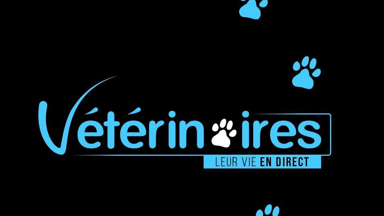 Vignette du programme télé Vétérinaires, leur vie en direct