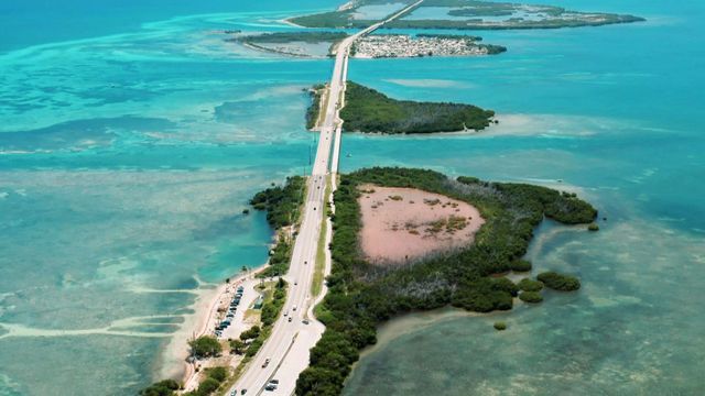 Vignette du programme télé Destination nature : la Floride