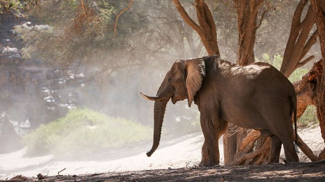 Vignette du programme télé Les derniers paradis sauvages