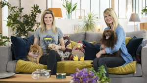 Vignette du programme télé Animaux à adopter : nouvelle famille pour une nouvelle vie S3 (6/16)