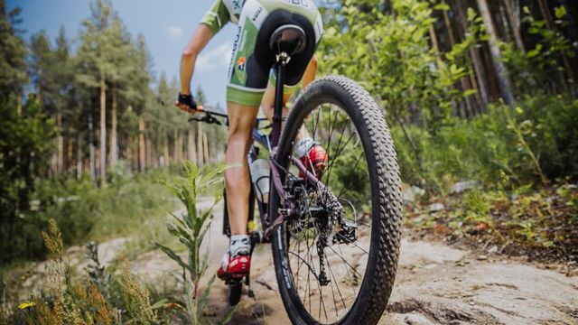 Vignette du programme télé VTT : Championnats du monde