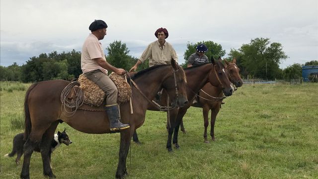 Vignette du programme télé Uruguay le pays du football du tango et de la serenite