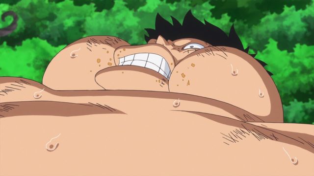 Vignette du programme télé One Piece