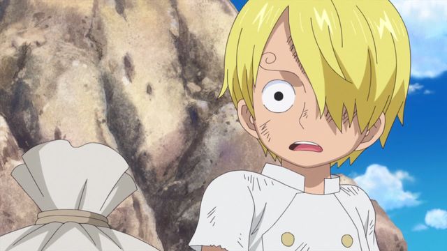 Vignette du programme télé One Piece