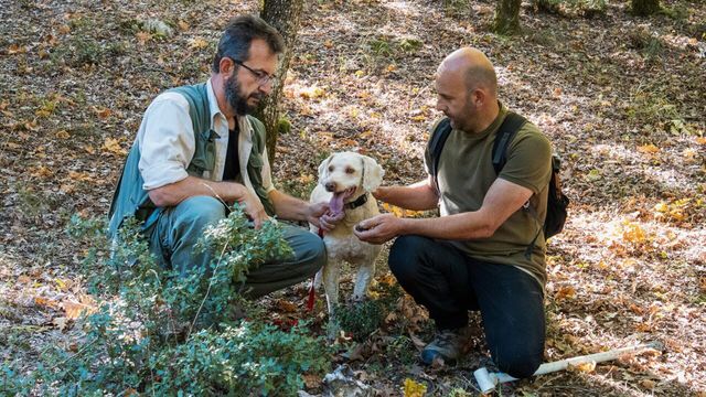 Vignette du programme télé Cuisines des terroirs