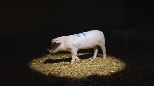 Vignette du programme télé 42, la réponse à presque tout