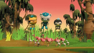 Vignette du programme télé Les Octonauts (Les Octonauts et les flamants roses) S4 (11/26)