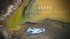 Vignette du programme télé Les mains de Saype