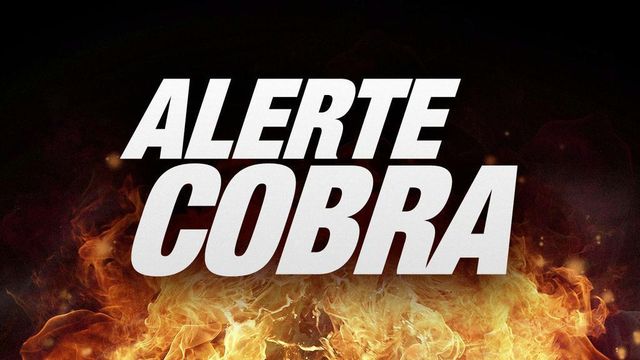 Vignette du programme télé Alerte Cobra - Saison 15