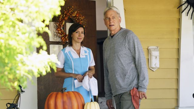 Vignette du programme télé NCIS - Saison 17
