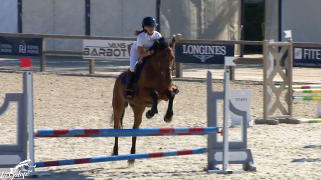 Vignette du programme télé Au galop ! - Saison 5
